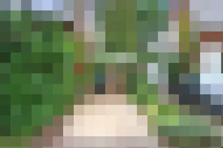 Zuidergeeststraat 15 Heiloo thumbnail 29
