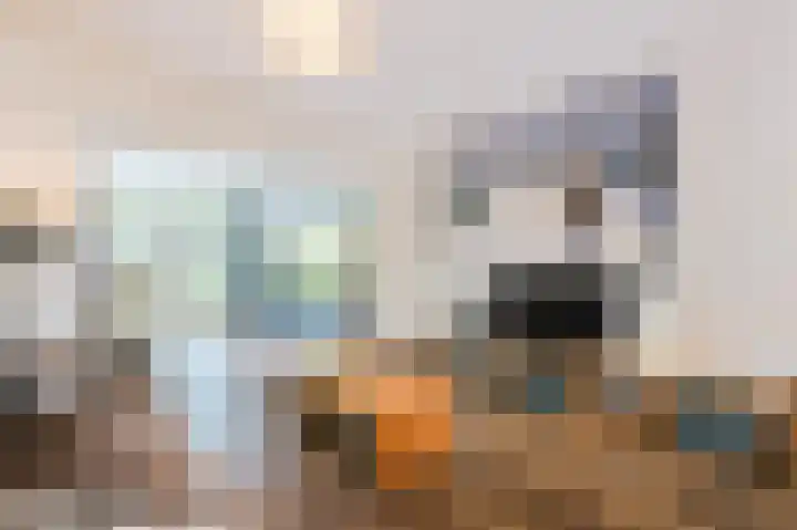 Zuidergeeststraat 15 Heiloo thumbnail 4