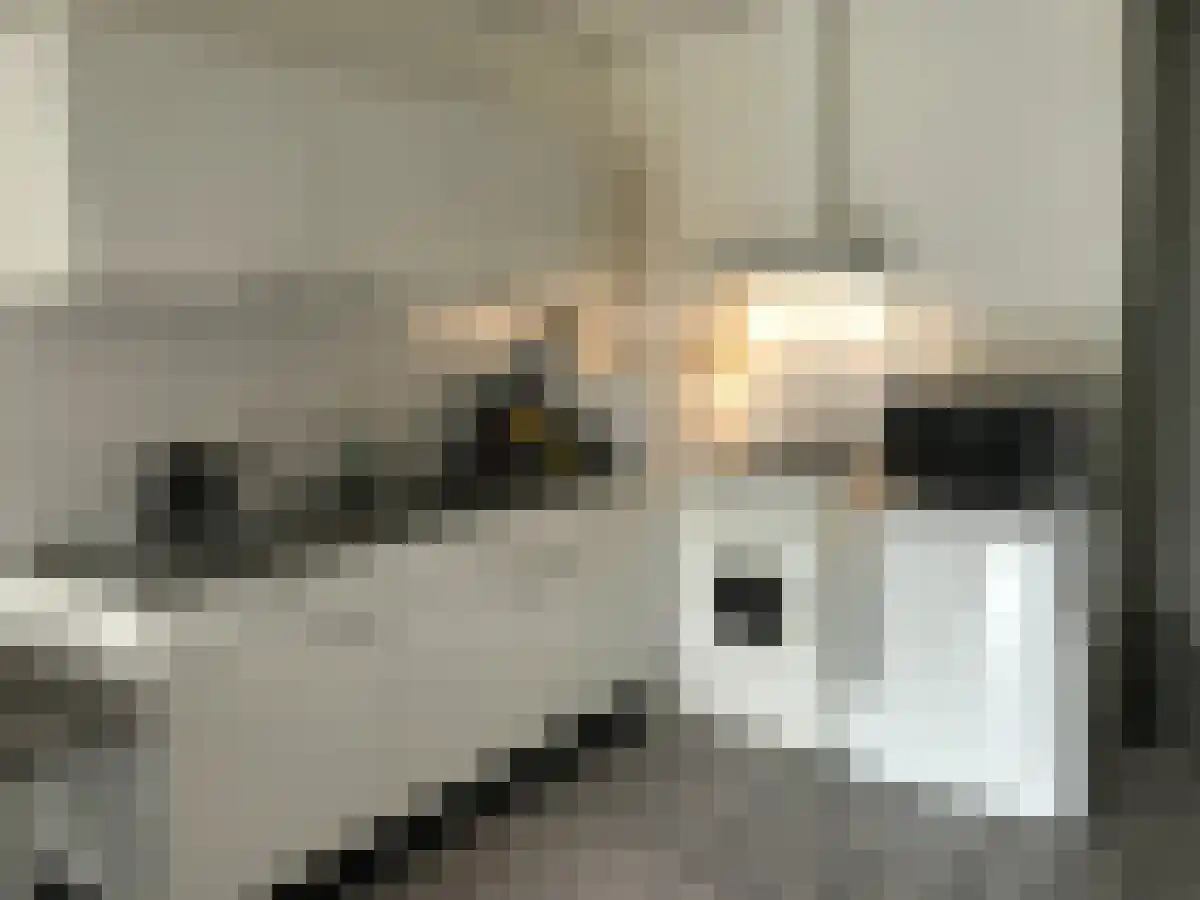 Zuidergrachtswal 24 j Leeuwarden thumbnail 4