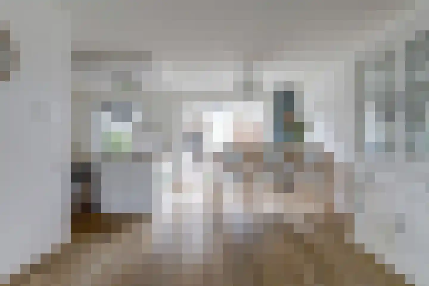 Zuiderhagen 12 Rotterdam thumbnail 13