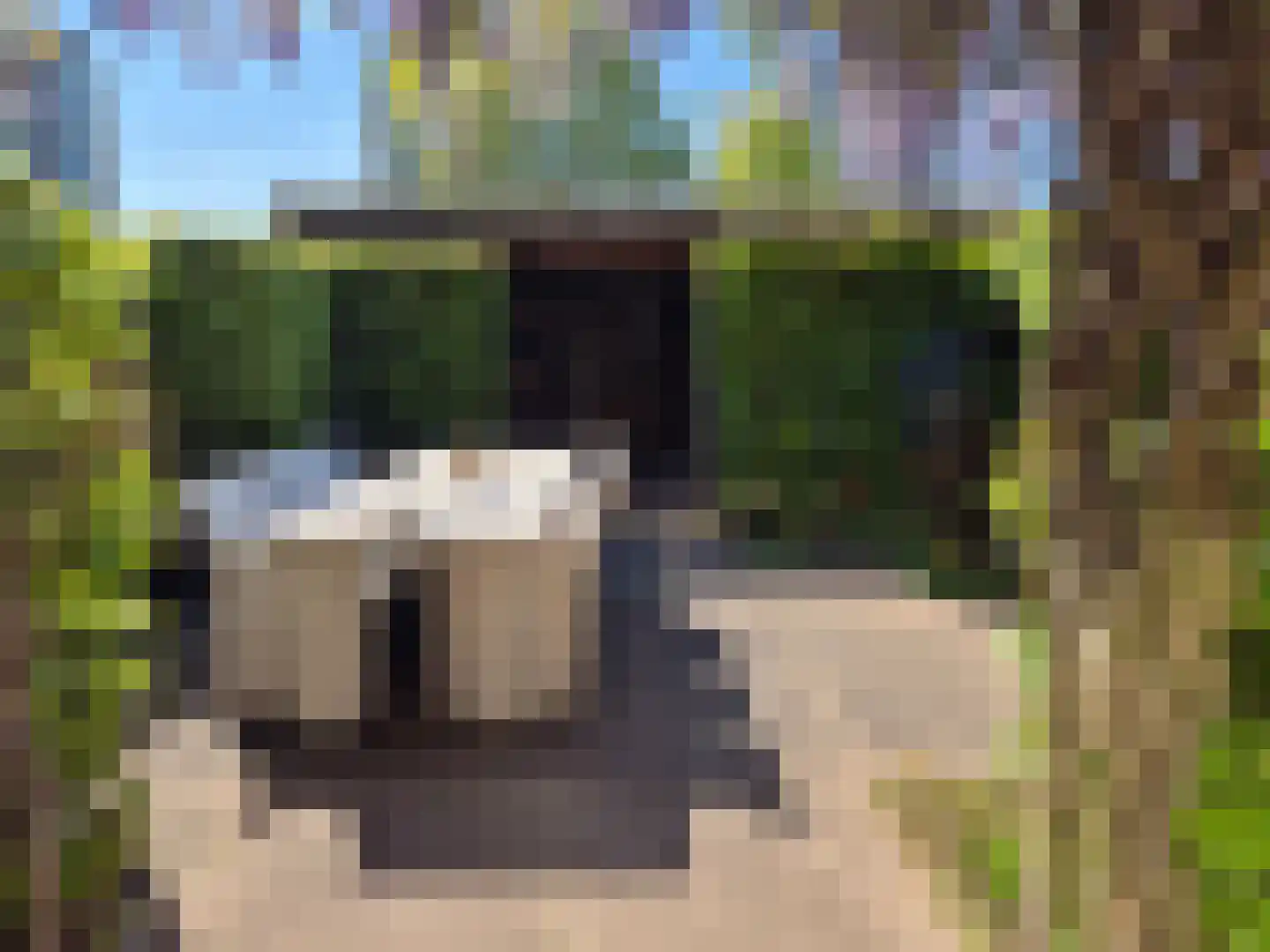 Zuiderhagen 12 Rotterdam thumbnail 4