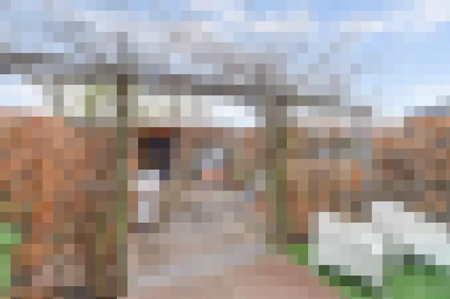 Zuiderhagen 12 Rotterdam thumbnail 7