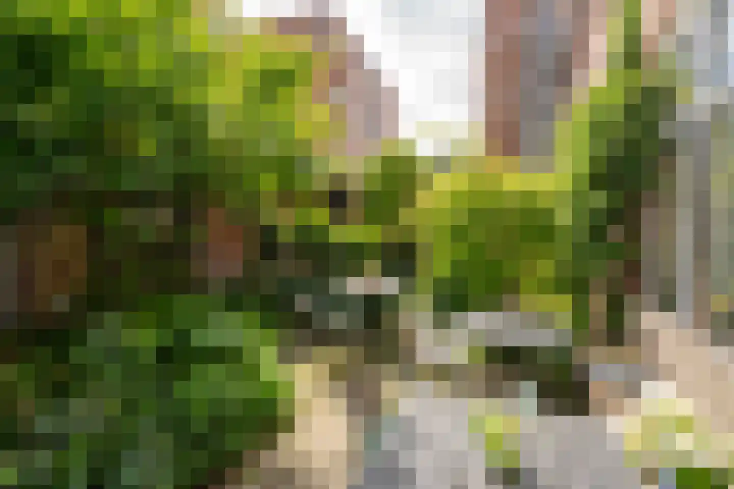 Zuiderhagen 25 Enschede thumbnail 24