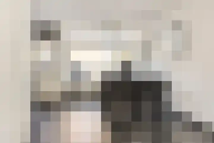 Zuiderhagen 31 Rotterdam thumbnail 10