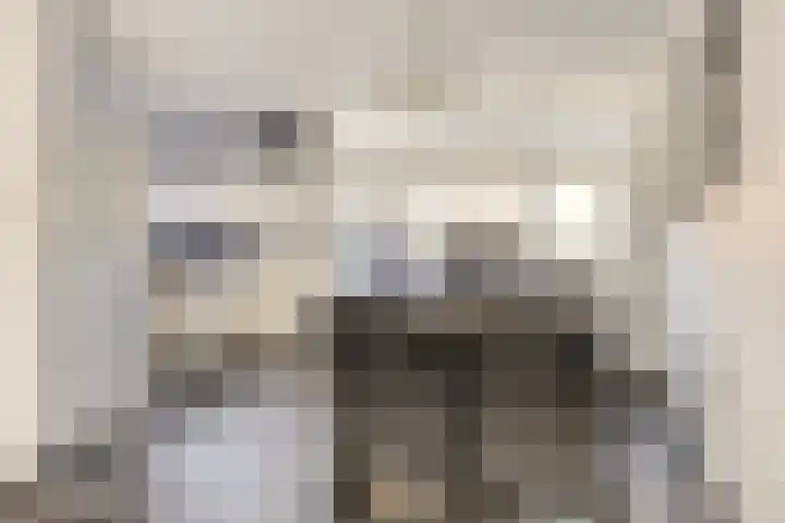 Zuiderhagen 31 Rotterdam thumbnail 11