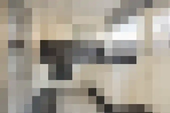 Zuiderhagen 31 Rotterdam thumbnail 12