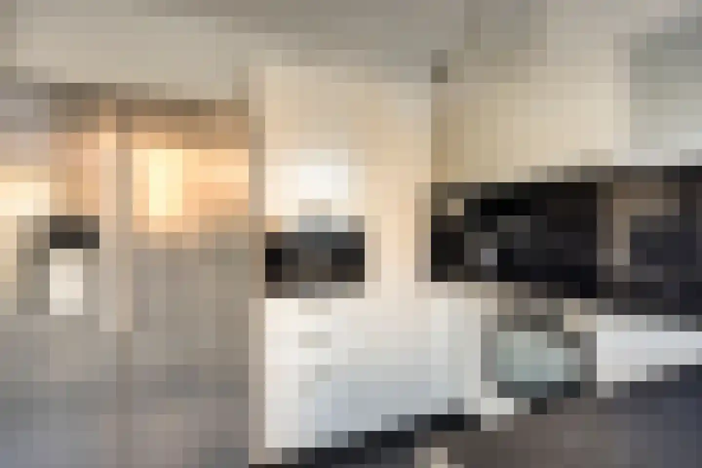 Zuiderhagen 31 Rotterdam thumbnail 17