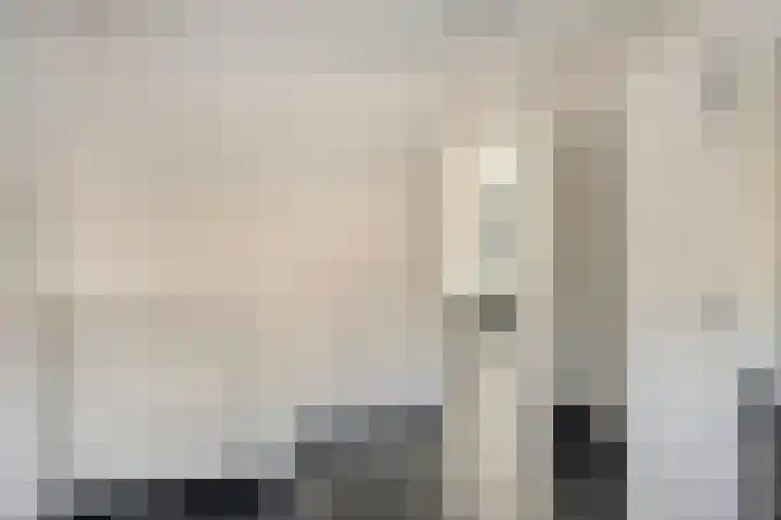 Zuiderhagen 31 Rotterdam thumbnail 26