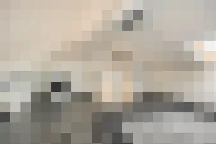 Zuiderhagen 31 Rotterdam thumbnail 31