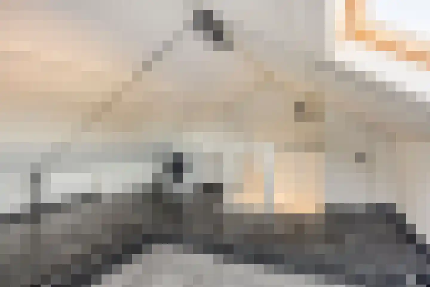 Zuiderhagen 31 Rotterdam thumbnail 32