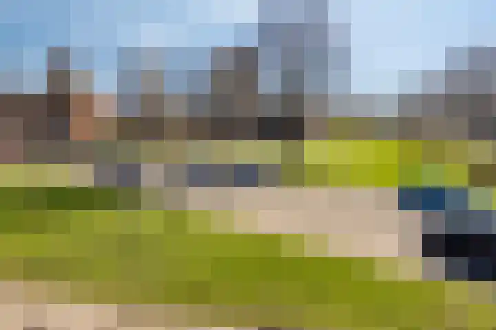Zuiderhagen 31 Rotterdam thumbnail 41
