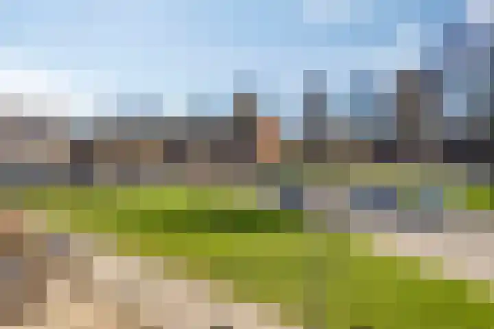 Zuiderhagen 31 Rotterdam thumbnail 42