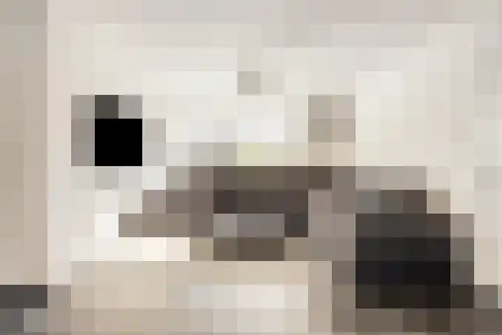 Zuiderhagen 31 Rotterdam thumbnail 6