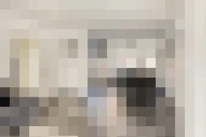 Zuiderhagen 31 Rotterdam thumbnail 8