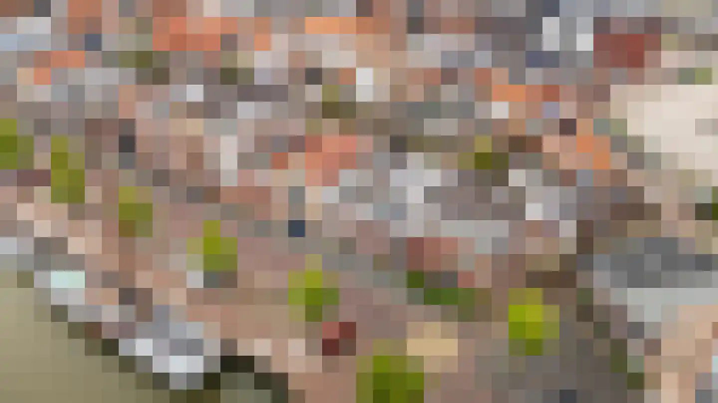 Zuiderhaven 20 Harlingen thumbnail 52
