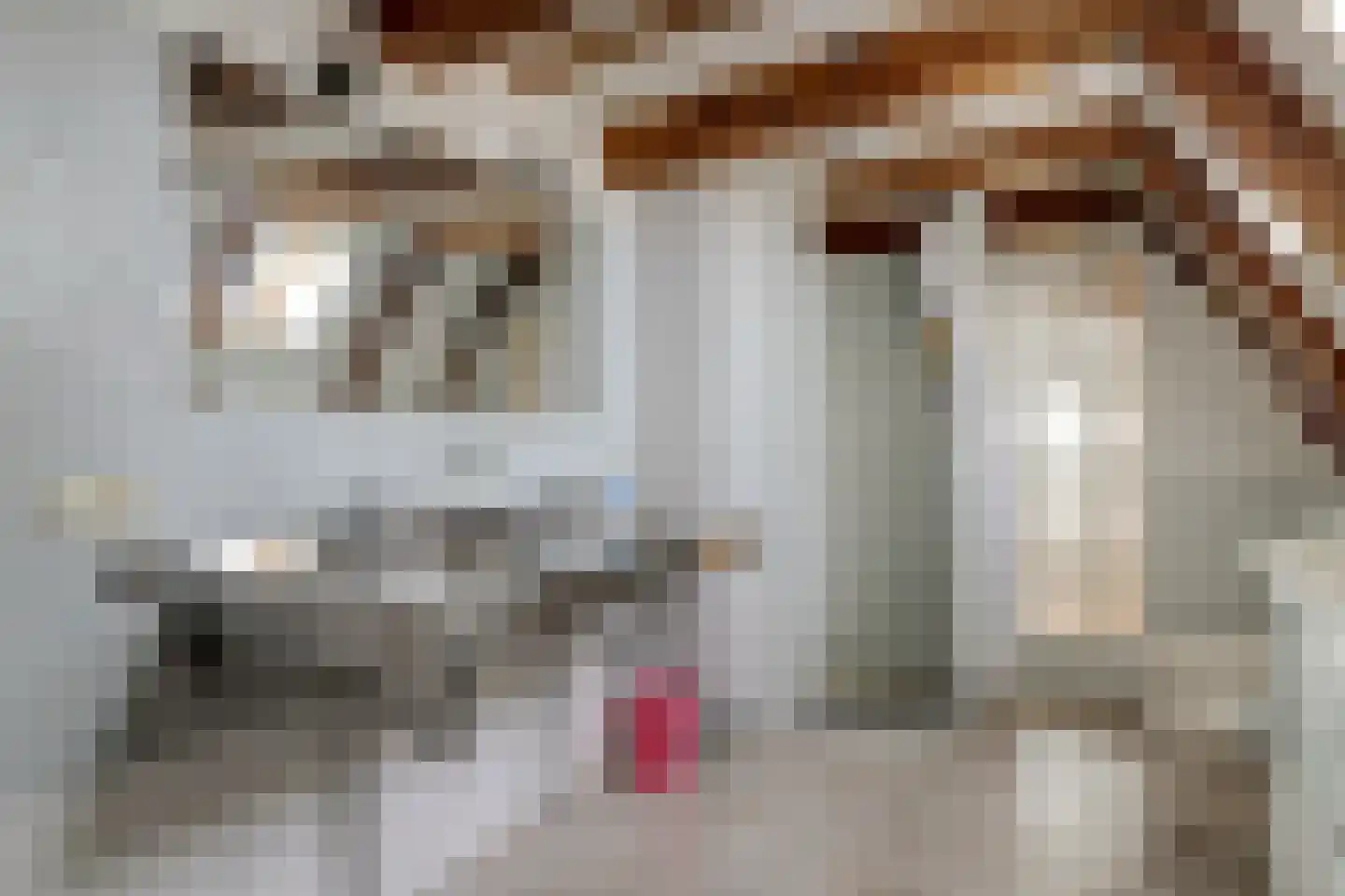 Zuiderhaven 37 Harlingen thumbnail 26