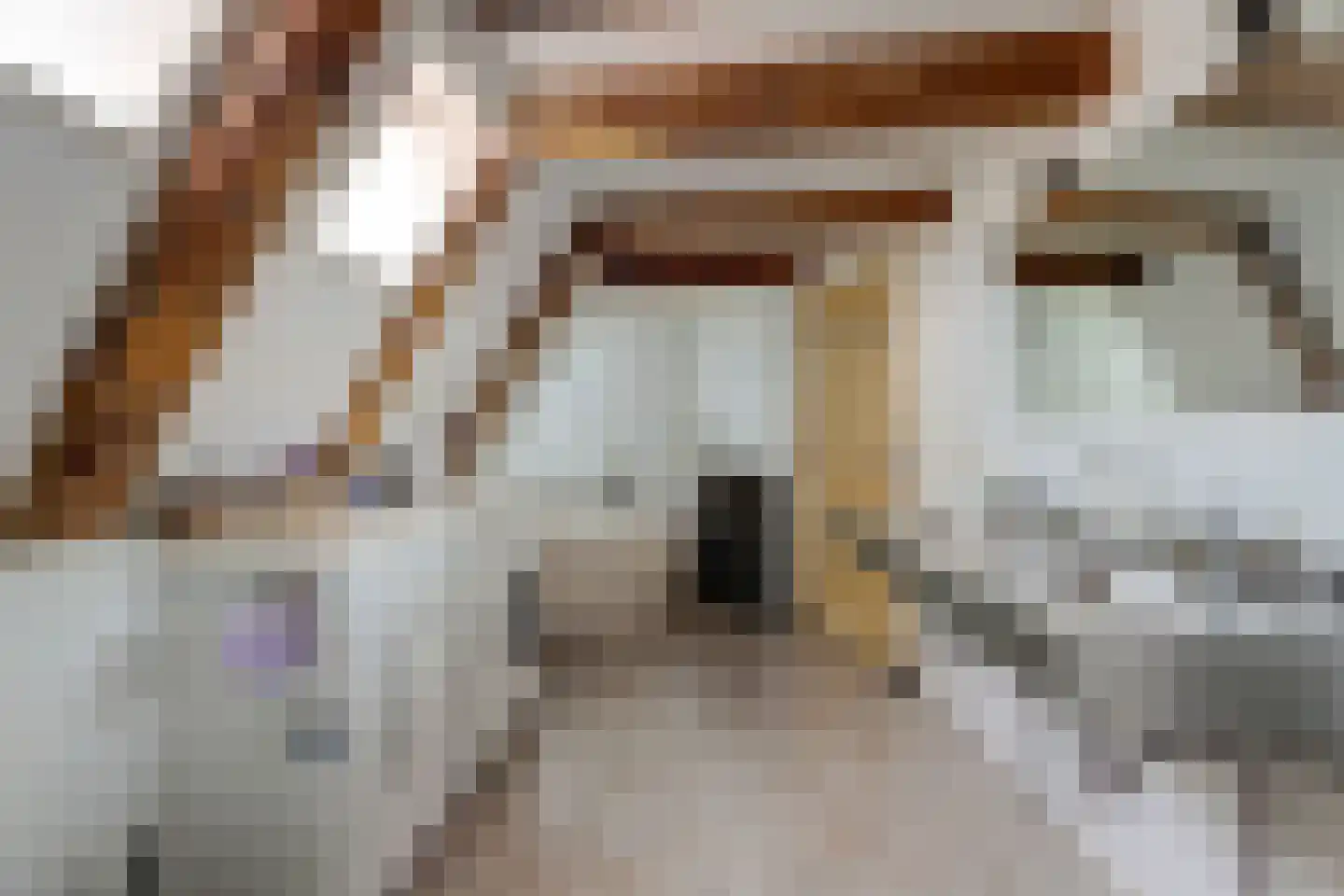 Zuiderhaven 37 Harlingen thumbnail 27