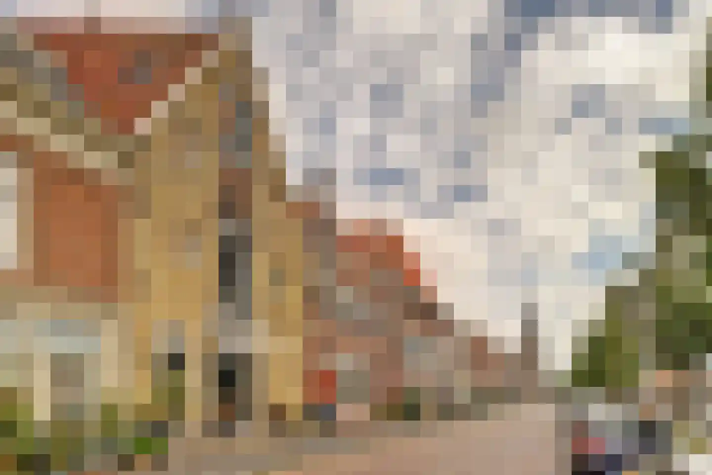 Zuiderhaven 37 Harlingen thumbnail 45