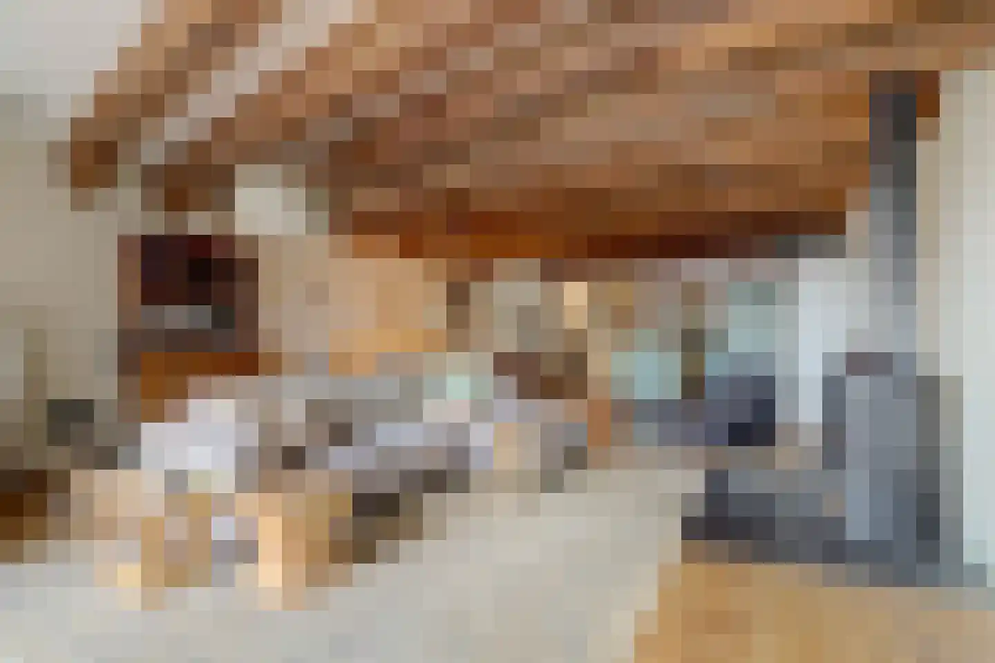 Zuiderhaven 37 Harlingen thumbnail 6