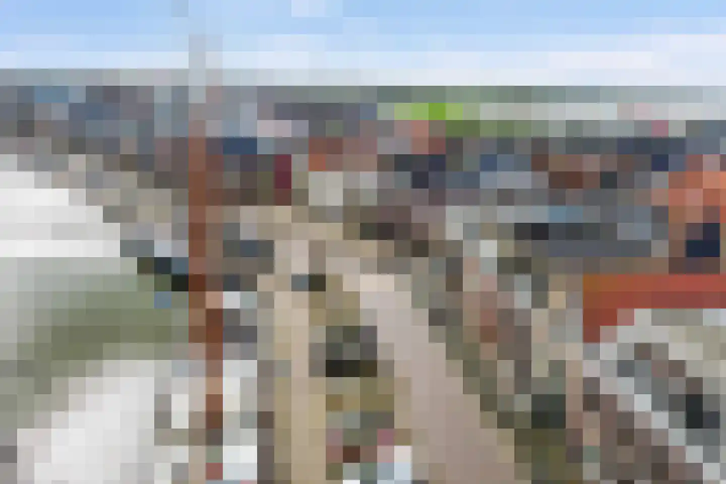 Zuiderhaven 56 Harlingen thumbnail 44