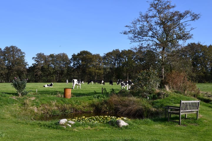 Zuiderhoeksweg 8 in Nuis photo