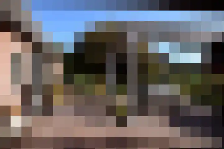 Zuiderhoeksweg 8 Nuis thumbnail 10
