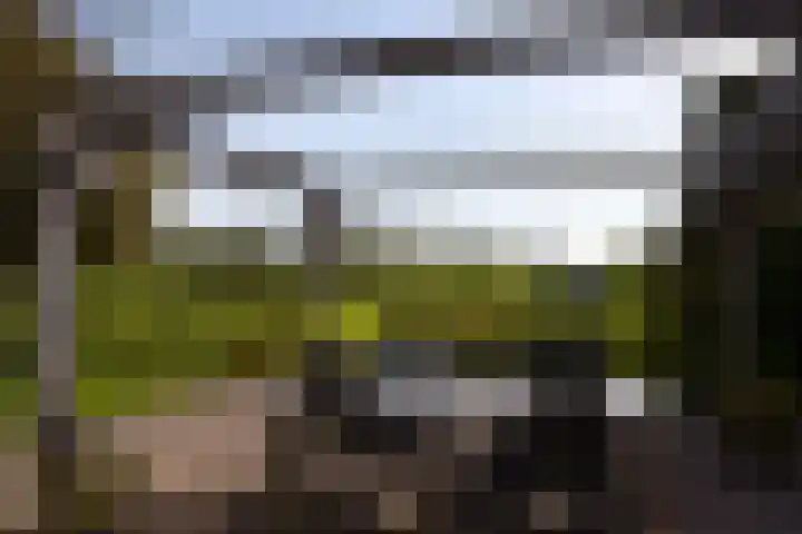 Zuiderhoeksweg 8 Nuis thumbnail 11