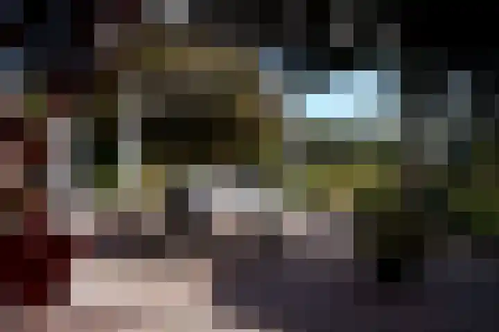 Zuiderhoeksweg 8 Nuis thumbnail 12