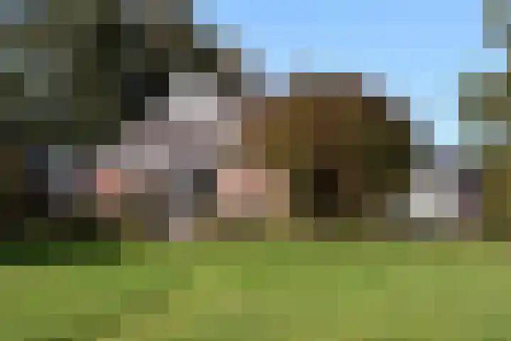 Zuiderhoeksweg 8 Nuis thumbnail 16
