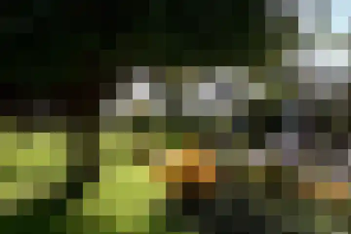 Zuiderhoeksweg 8 Nuis thumbnail 18