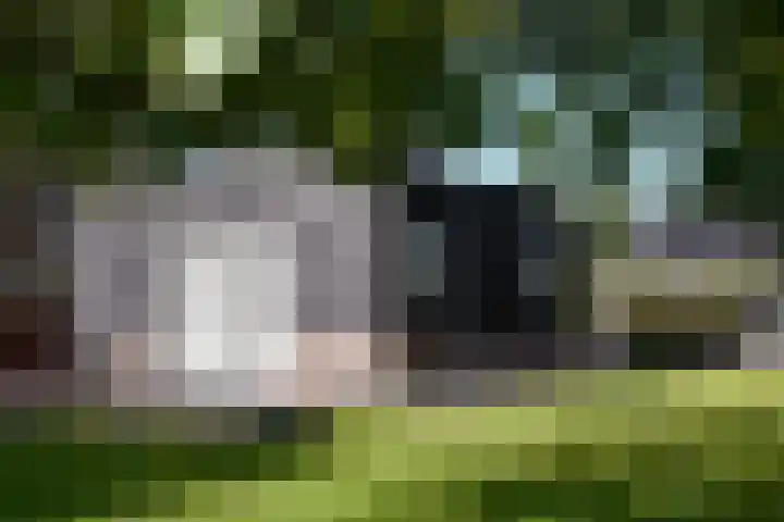 Zuiderhoeksweg 8 Nuis thumbnail 19