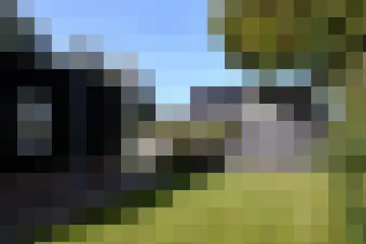 Zuiderhoeksweg 8 Nuis thumbnail 20