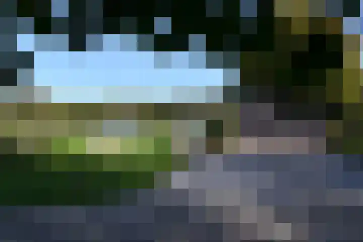 Zuiderhoeksweg 8 Nuis thumbnail 22