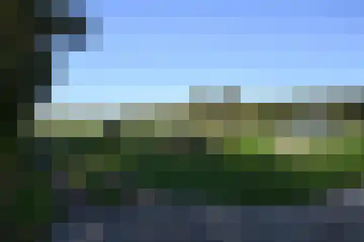 Zuiderhoeksweg 8 Nuis thumbnail 23