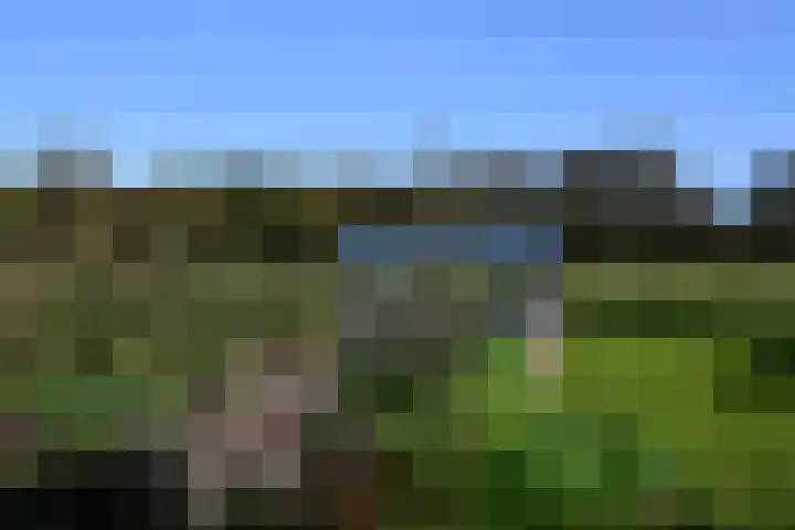 Zuiderhoeksweg 8 Nuis thumbnail 24