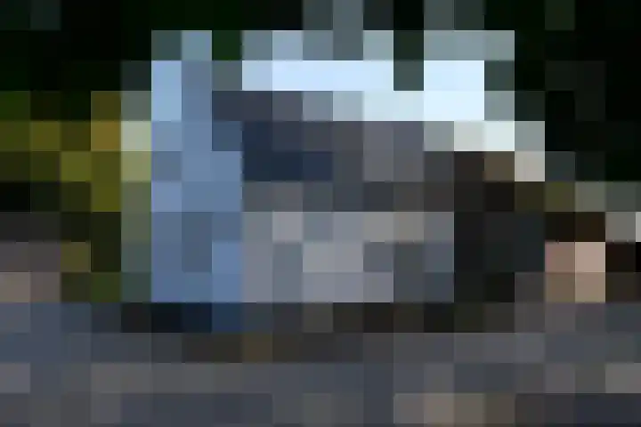 Zuiderhoeksweg 8 Nuis thumbnail 25