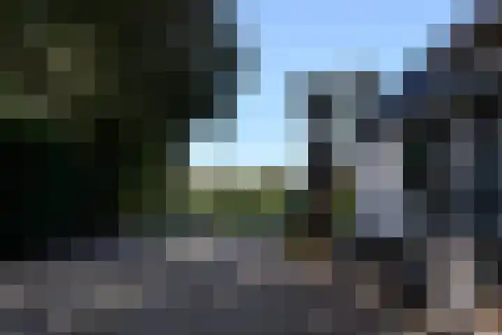 Zuiderhoeksweg 8 Nuis thumbnail 26