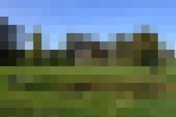 Zuiderhoeksweg 8 Nuis foto 3