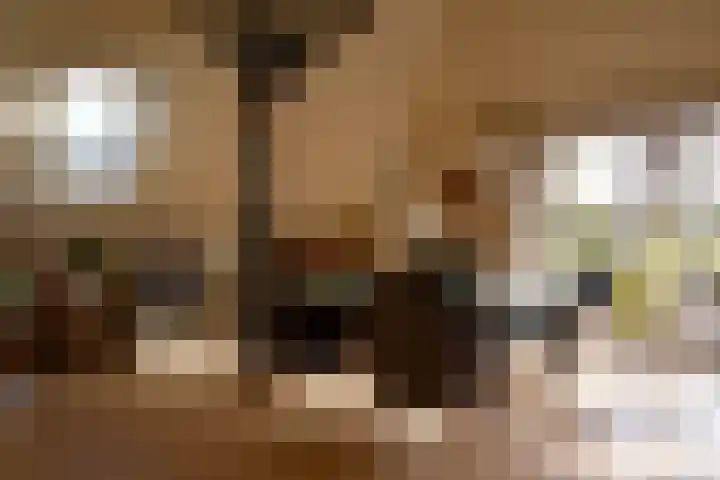 Zuiderhoeksweg 8 Nuis thumbnail 30