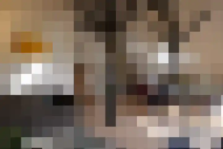 Zuiderhoeksweg 8 Nuis thumbnail 31