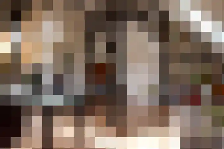 Zuiderhoeksweg 8 Nuis thumbnail 32