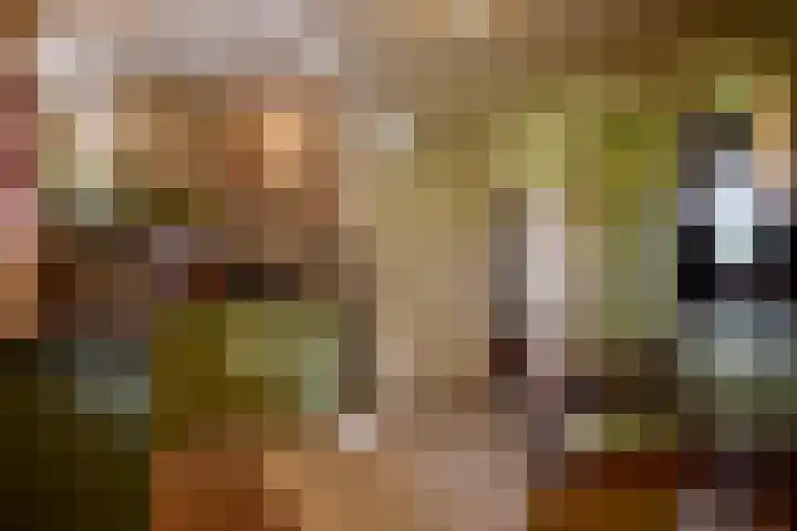 Zuiderhoeksweg 8 Nuis thumbnail 33