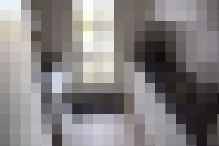 Zuiderhoeksweg 8 Nuis thumbnail 35