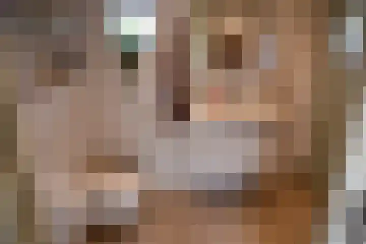 Zuiderhoeksweg 8 Nuis thumbnail 39