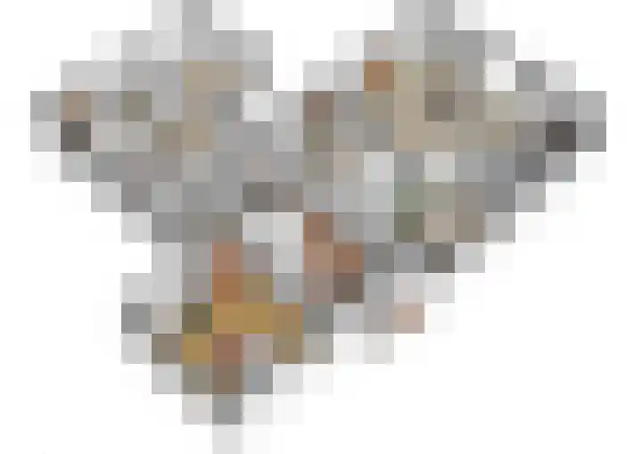 Zuiderhoeksweg 8 Nuis thumbnail 44