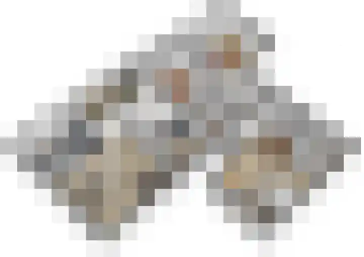 Zuiderhoeksweg 8 Nuis thumbnail 45