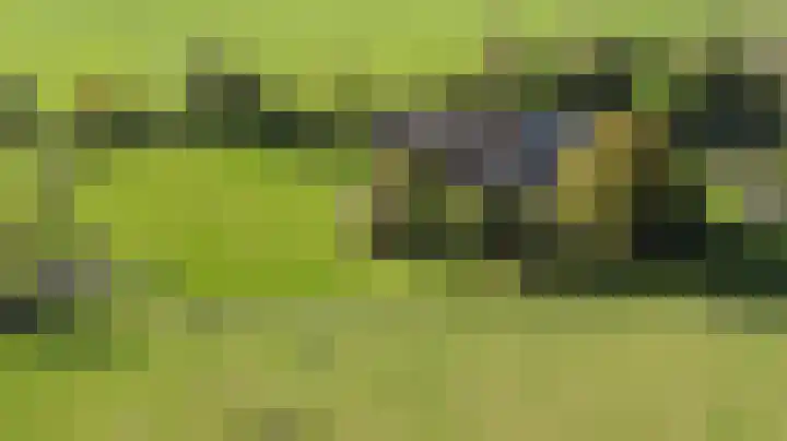 Zuiderhoeksweg 8 Nuis thumbnail 5