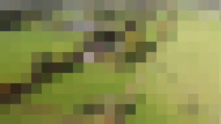 Zuiderhoeksweg 8 Nuis thumbnail 7