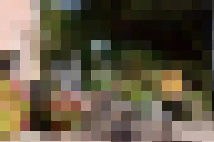 Zuiderhoeksweg 8 Nuis thumbnail 9