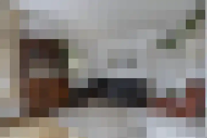 Zuiderhogeweg 105 Drachten thumbnail 12